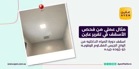 مثال عملي من فحص الأسقف في تقرير عاين