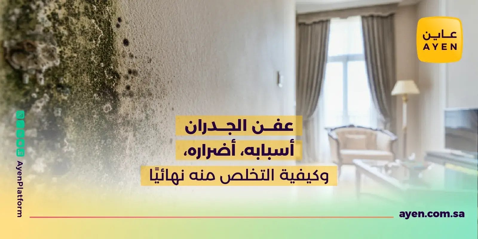 عفن الجدران أسبابه، أضراره، وكيفية التخلص منه نهائيًا