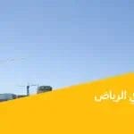 برج النخيل في الرياض